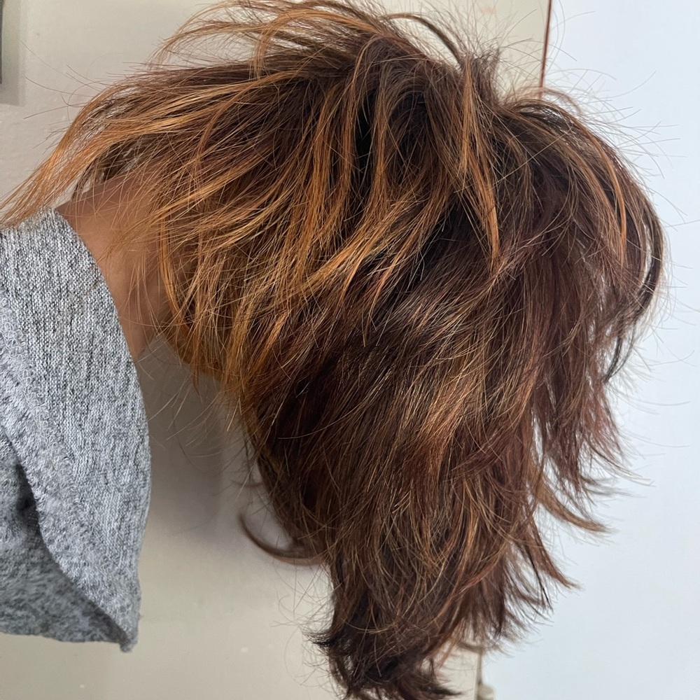 Raquel Welch Trend Setter Wig, Color R3329S+ Glazed Auburn, by Hairuwear.